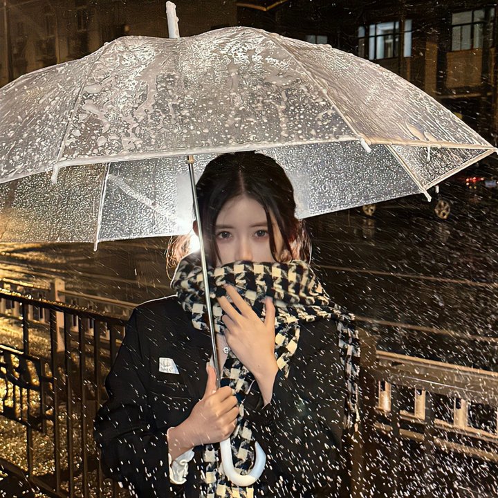 红楼梦第二部：黛玉葬花